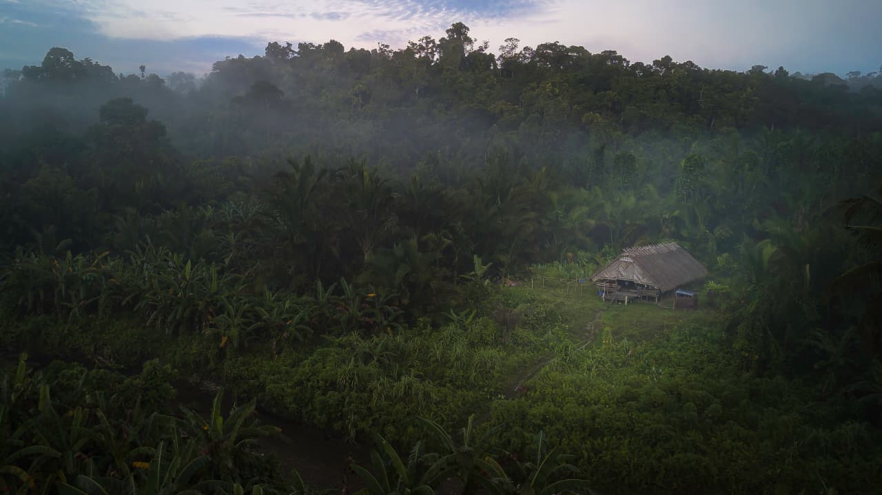 Uma, a Mentawai traditional house in the middle of the jungle