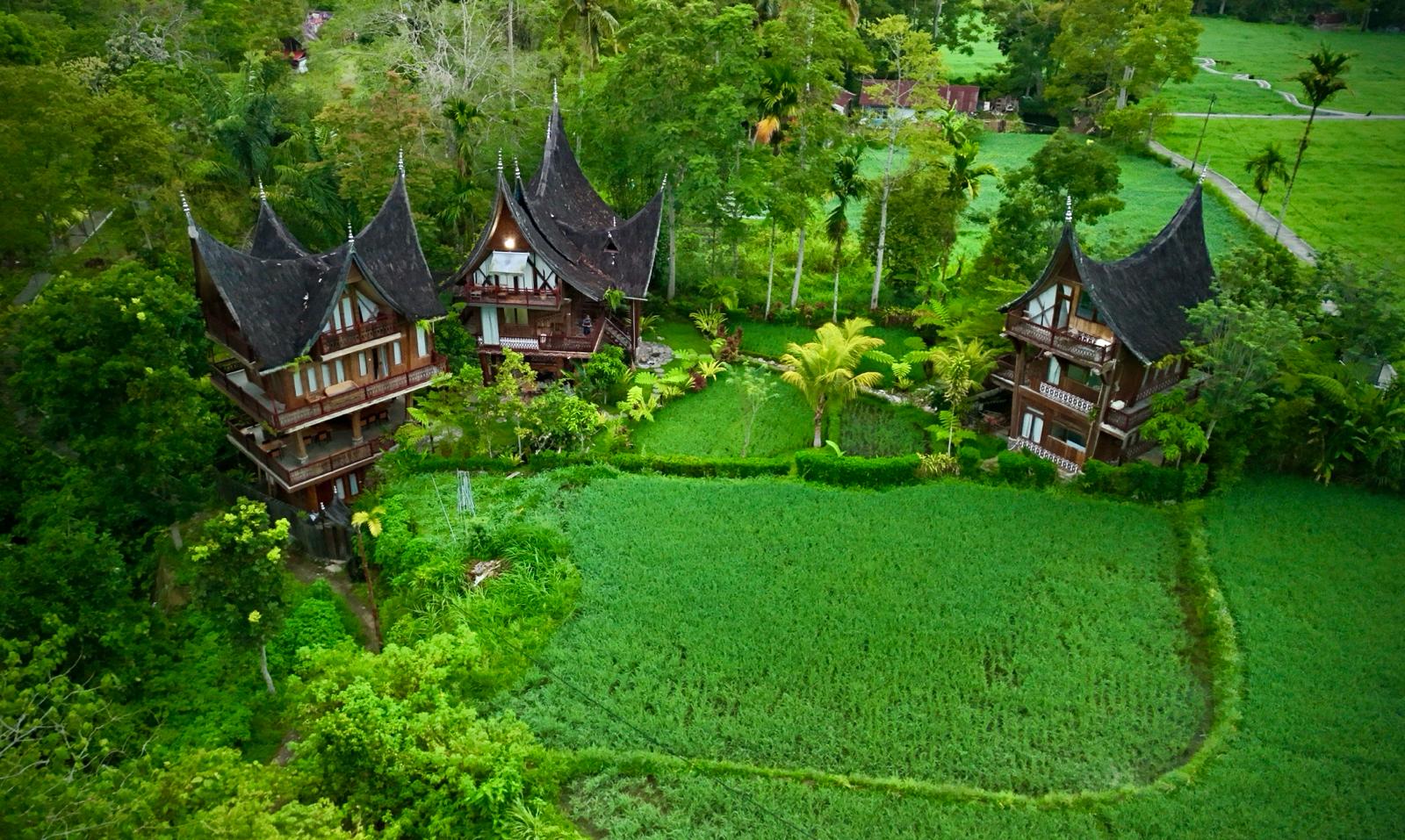 Bukittinggi’s countryside and Cow race